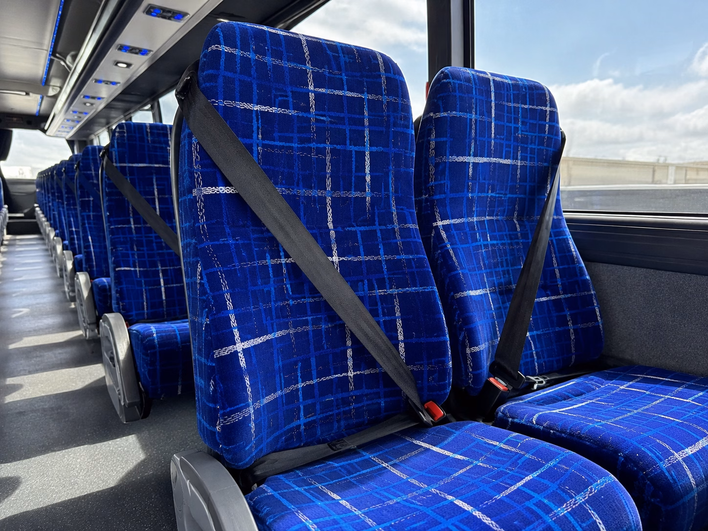 compare buses in minutes not days