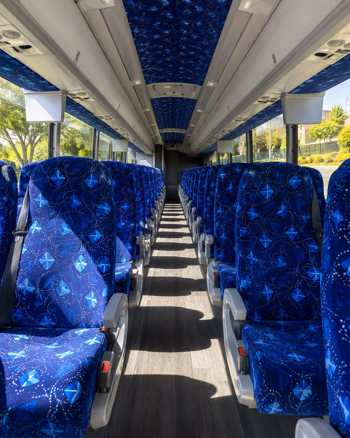 school bus rentals for stamford museum nature center field trips